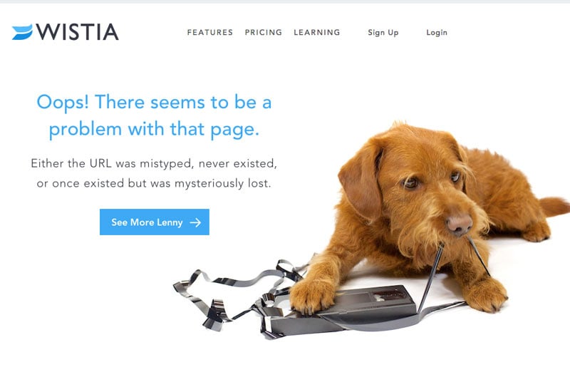Wistia - 404 Page - With Dog