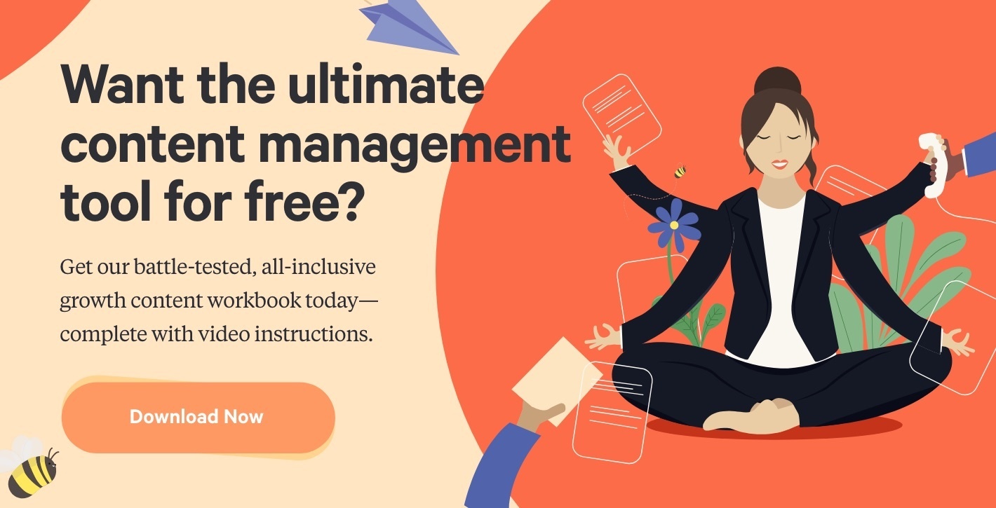 Download The Busy CEO's Content Management Workbook