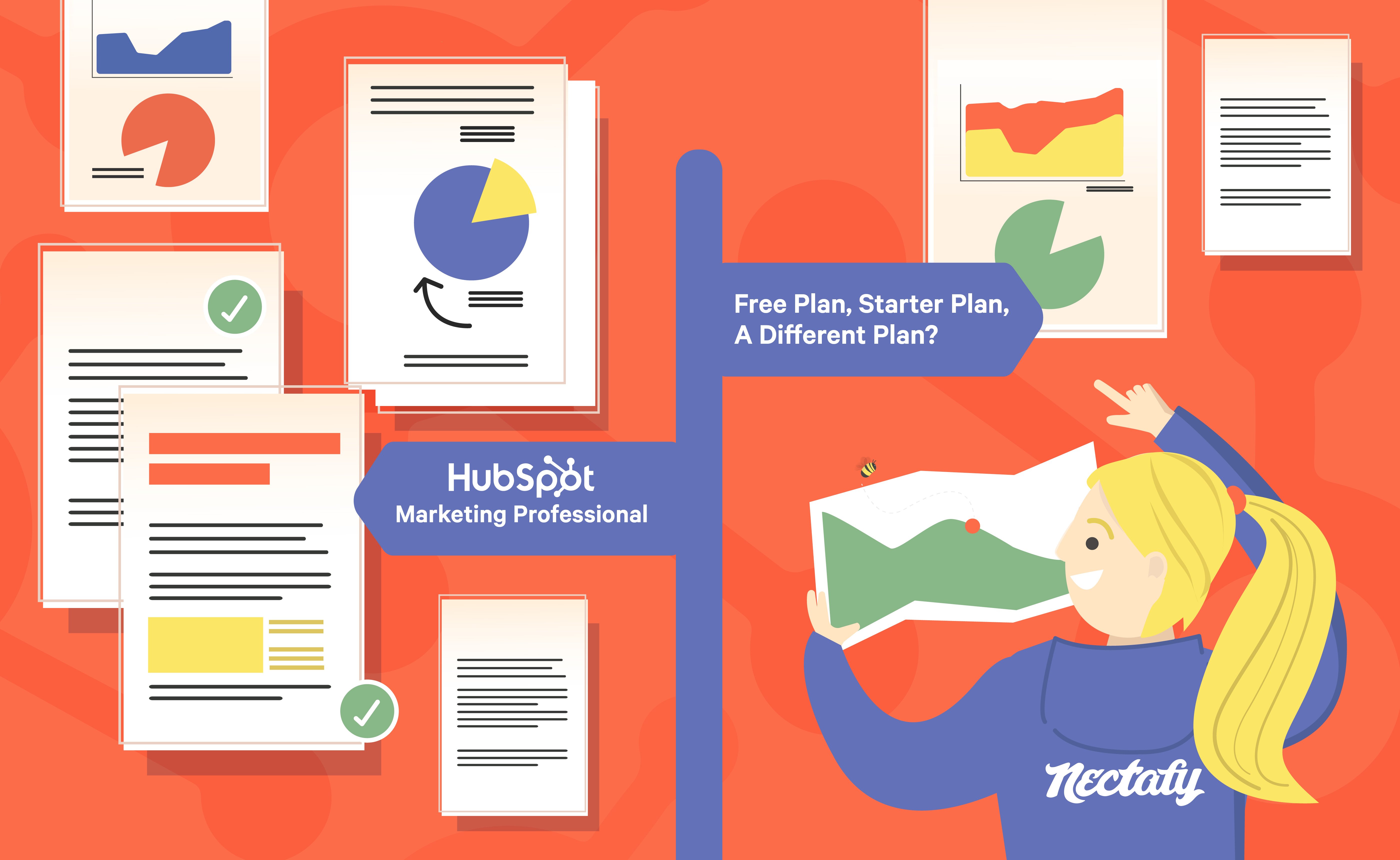 Should You Buy HubSpot Marketing Professional?